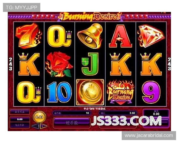 在必赢网站找到最可靠的游戏攻略和最新动态让你始终领先一步